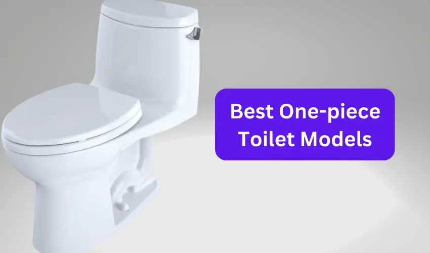 Best One-piece Toilet Models