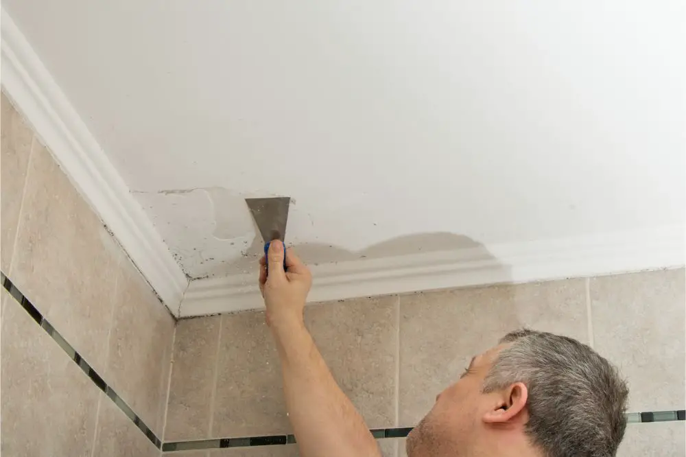 how to get rid of mold in bathroom ceiling