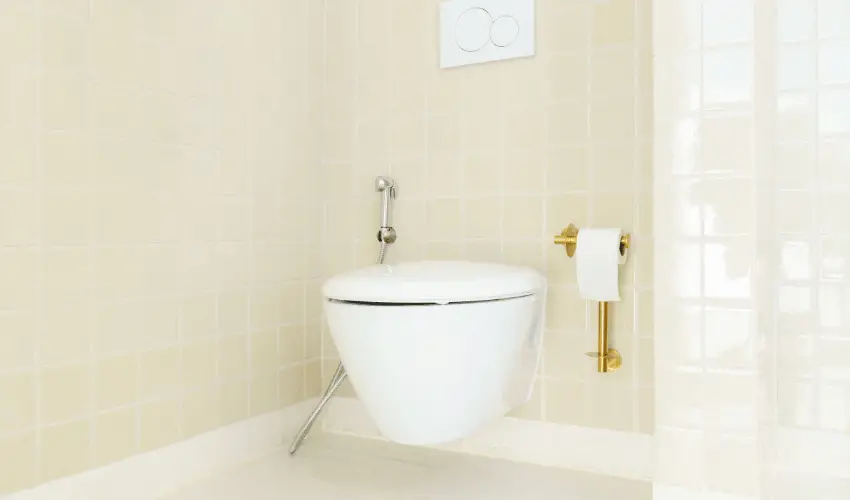 Guide to Purchasing the Best Wall-hung Toilets