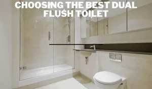 Choosing the Best Dual Flush Toilet