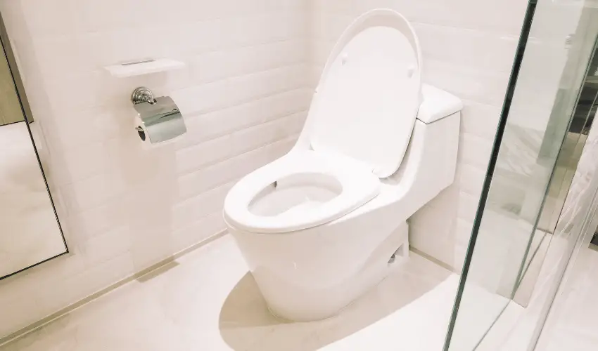 Pressure-Assisted Toilets: What Are They