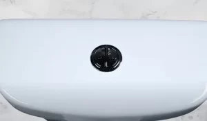 Best Dual Flush Toilets