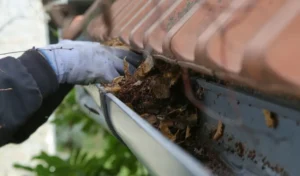 Clean and Repair Gutters